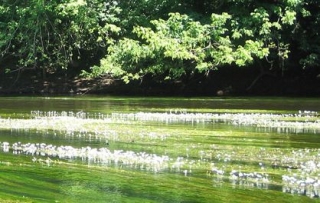  乘皮划艇沿着多尔多涅河而下 